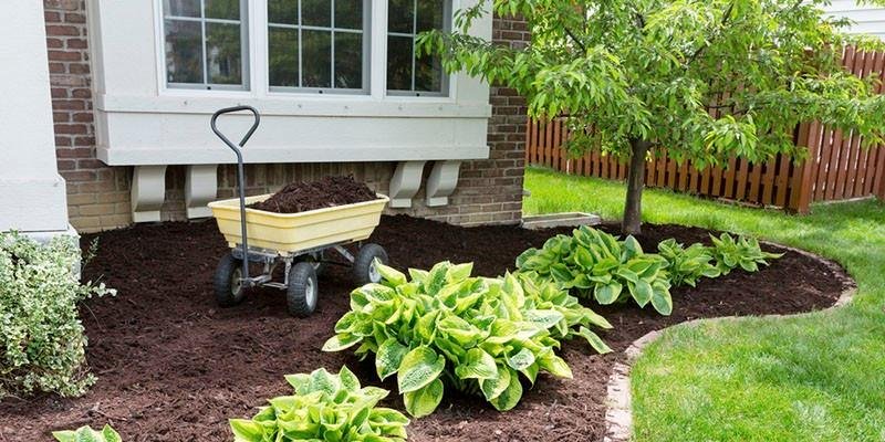 Enhancing Your Landscape: Kincaid’s Landscape Care