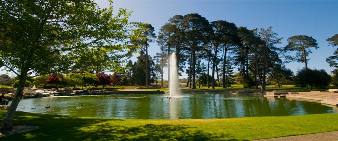 Waller Park: Where Nature Throws a Quirky Garden Party!