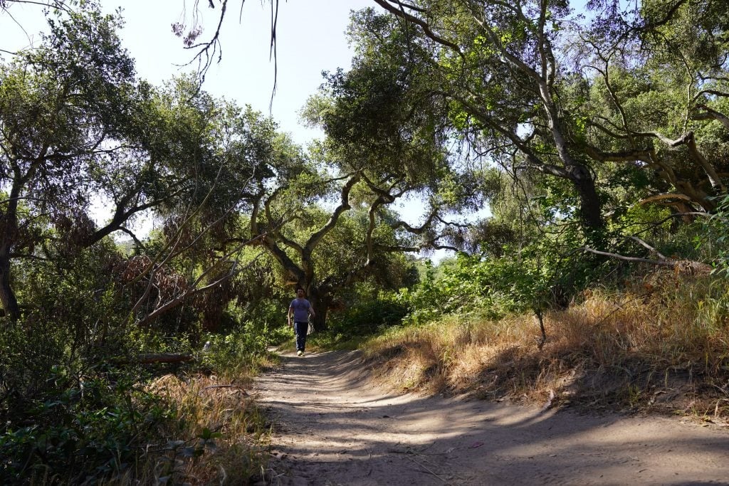 Orcutt's Best Autumn Trails: Hiker's Paradise in October 2024